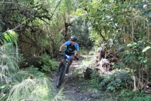 Alligator The Race | Mountain Bike | MTB Competition In Florida